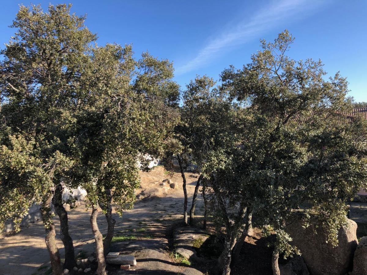 Finca El Olivo Ituero y Lama Eksteriør bilde